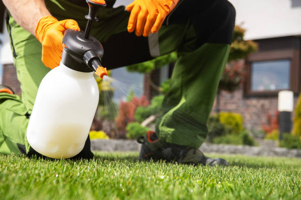 Best Wildlife Control Services  in Otterbe, IN