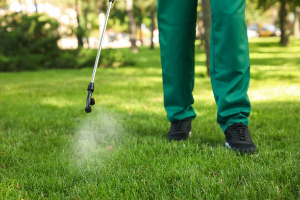 Best Pest Prevention Services  in Otterbe, IN