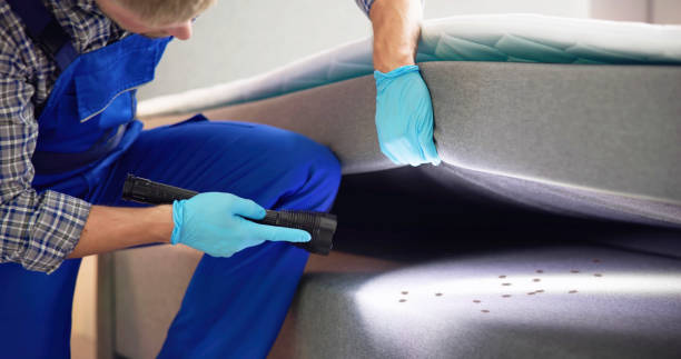Best Wasp Removal Services  in Otterbe, IN
