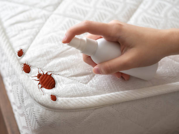 Best Commercial Pest Control Services  in Otterbe, IN