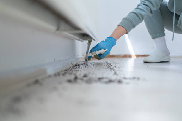 Professional Pest Control in Otterbein, IN
