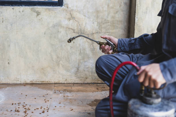 Best Pest Removal Services  in Otterbe, IN